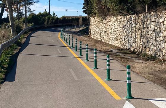 road blue flexible plastic boundary post installed