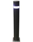 City Leds head Bollard