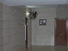 interior convex mirror