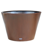 Tei planter