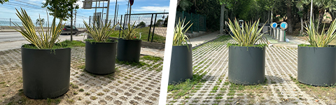 circular planters installed