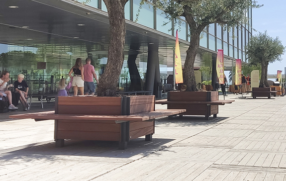 tree planters installation