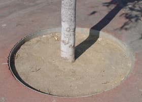 circular tree grate frame