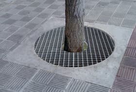 circular tree grilles installed