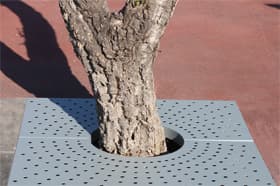 concentrico tree grate installed