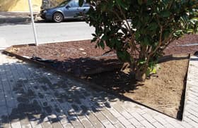 continuous tree grate custom installed
