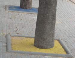 rubber tree grates installed