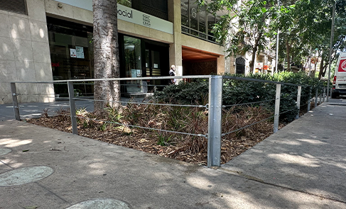 tree pit bcn installed